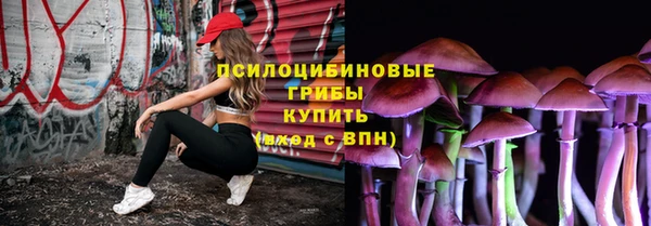 дживик Балахна