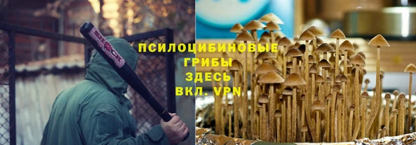 спиды Сафоново