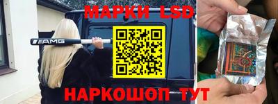 крисы Кингисепп