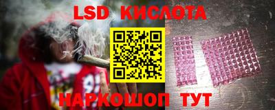крисы Кингисепп