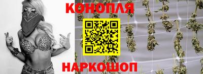 Альфа ПВП Кимры