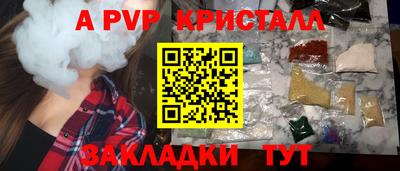 крисы Кингисепп