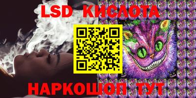 крисы Кингисепп