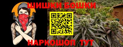 крисы Кингисепп