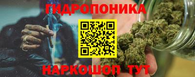 индика Конаково