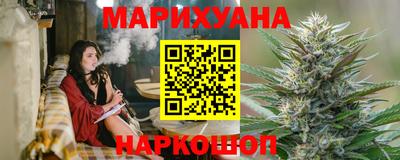 крисы Кингисепп