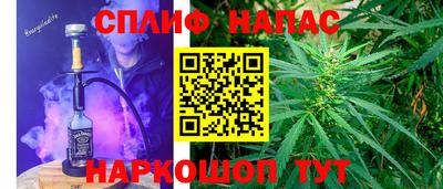 крисы Кингисепп