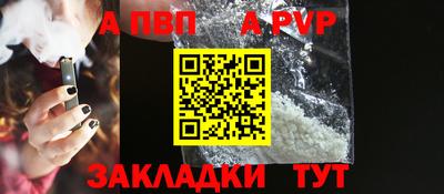 крисы Кингисепп